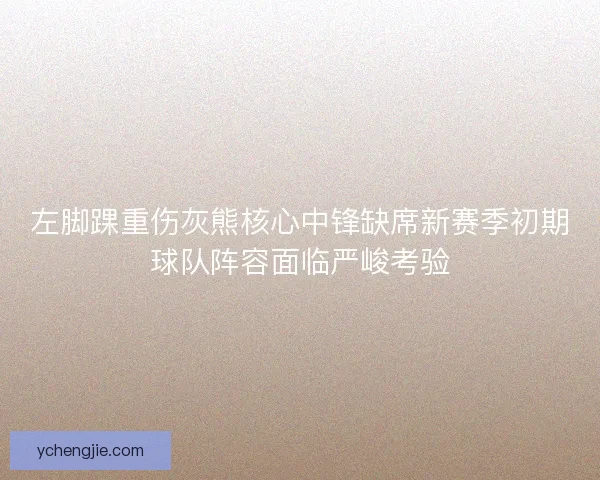 左脚踝重伤灰熊核心中锋缺席新赛季初期球队阵容面临严峻考验